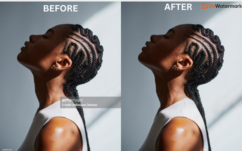 Dewatermark.AI - best watermark remover for images, videos, pdf